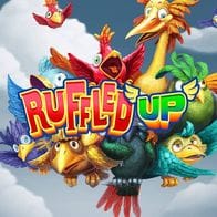 Ruffled Up thumbnail